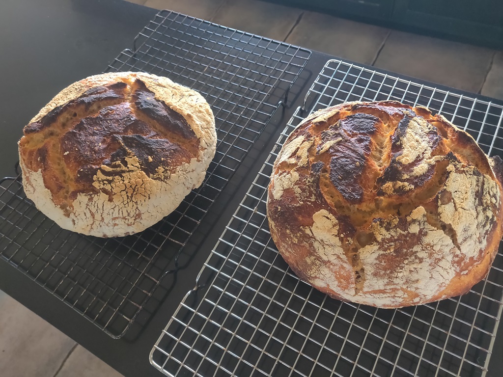 Baked bread on racks