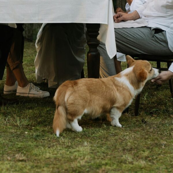 The Crumbs Under the Table