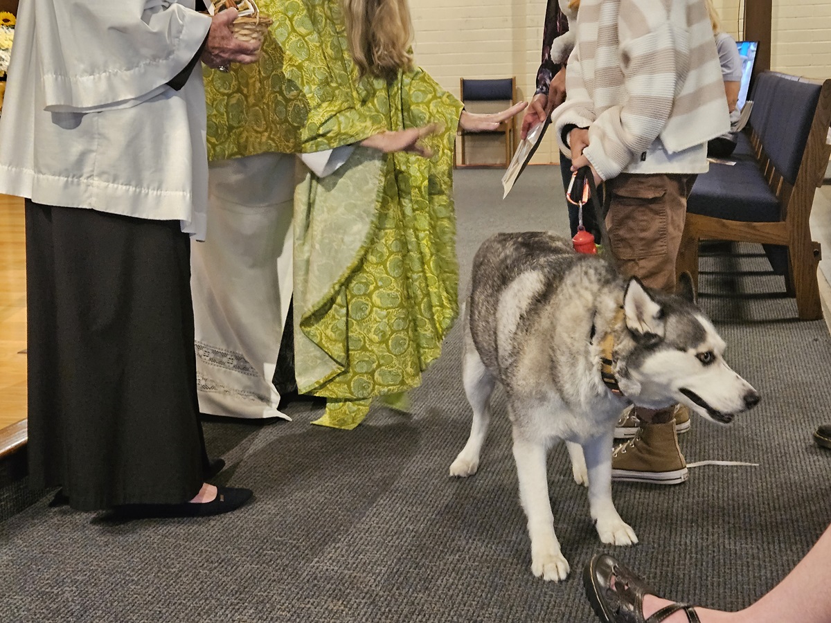 Blessing of the animals.