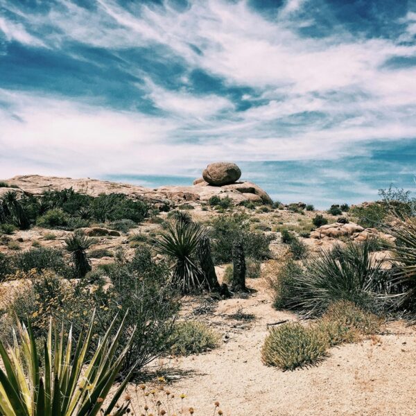 Lent: Jesus in the Desert