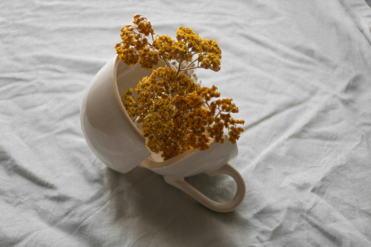 Cracked cup