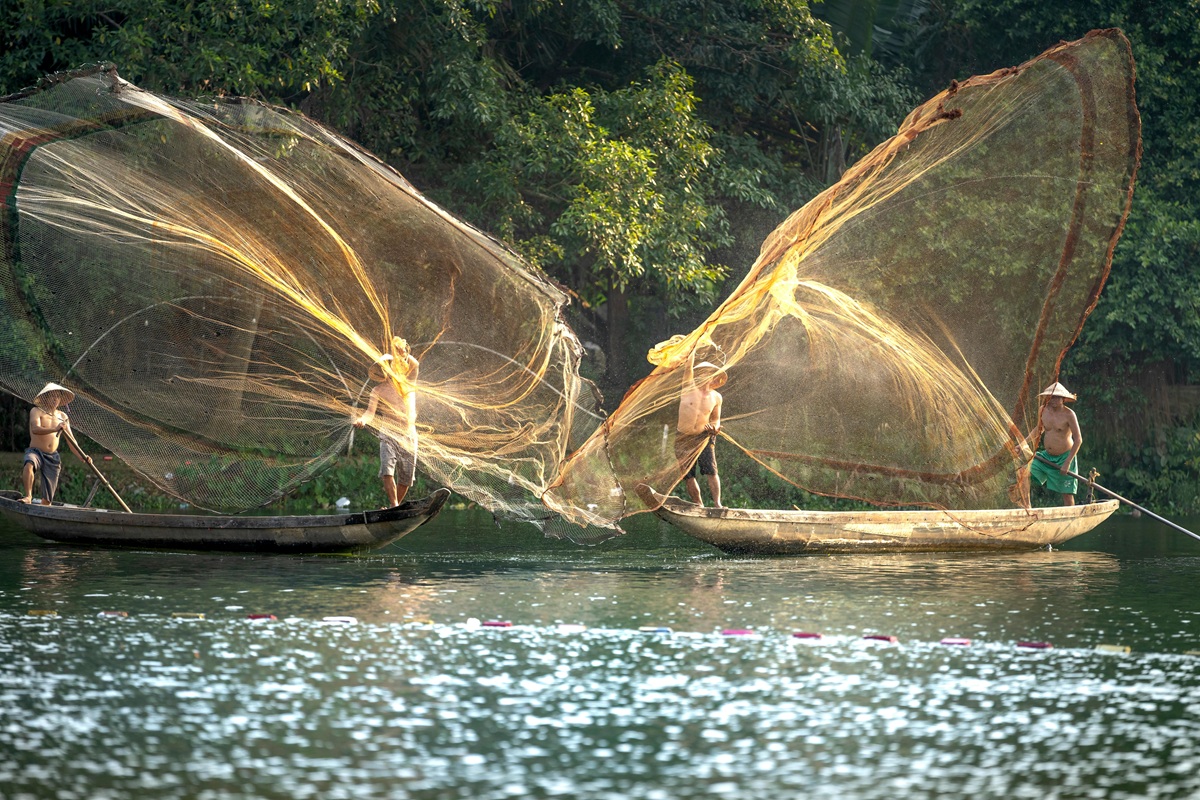 Fishing Nets